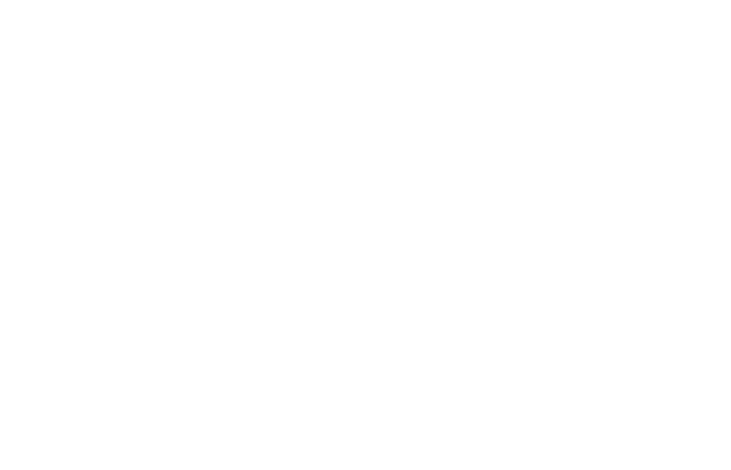 final logo white